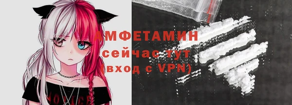 прущие грибы Заволжск