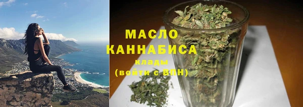 прущие грибы Ельня
