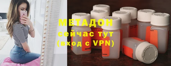 прущие грибы Ельня
