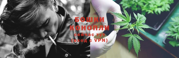 прущие грибы Ельня