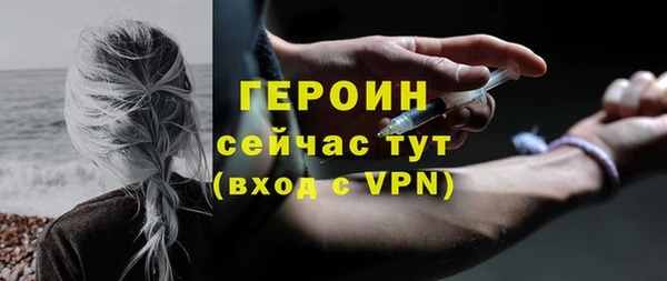 прущие грибы Ельня