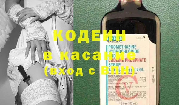 прущие грибы Ельня
