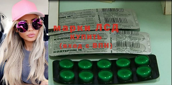 прущие грибы Ельня
