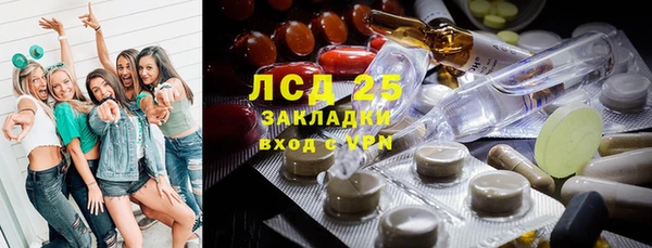 молекула духа Елизово