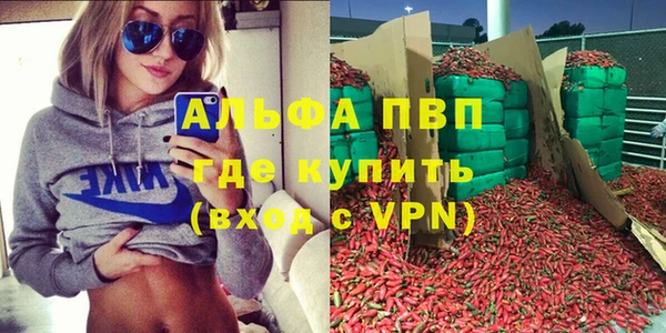 молекула духа Елизово